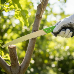 Chromium Steel Saw 3 Edge Sharpen Teeth with Plastic Cover and Blister Packing