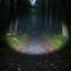 USB Rechargeable Electric Lighter & 3 Modes COB Flashlight (1 Pc)